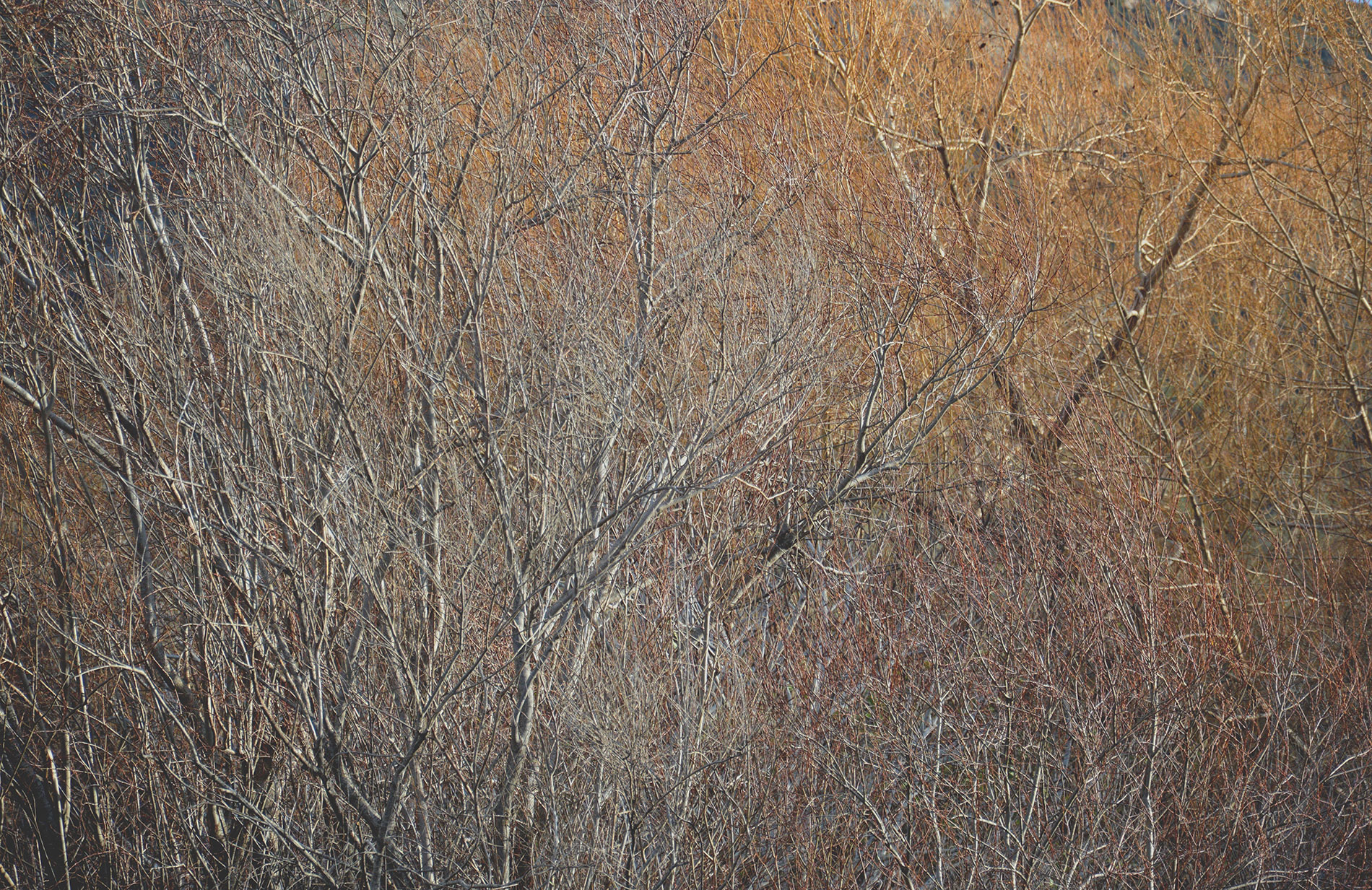 Dezemberfarben auf Korsika