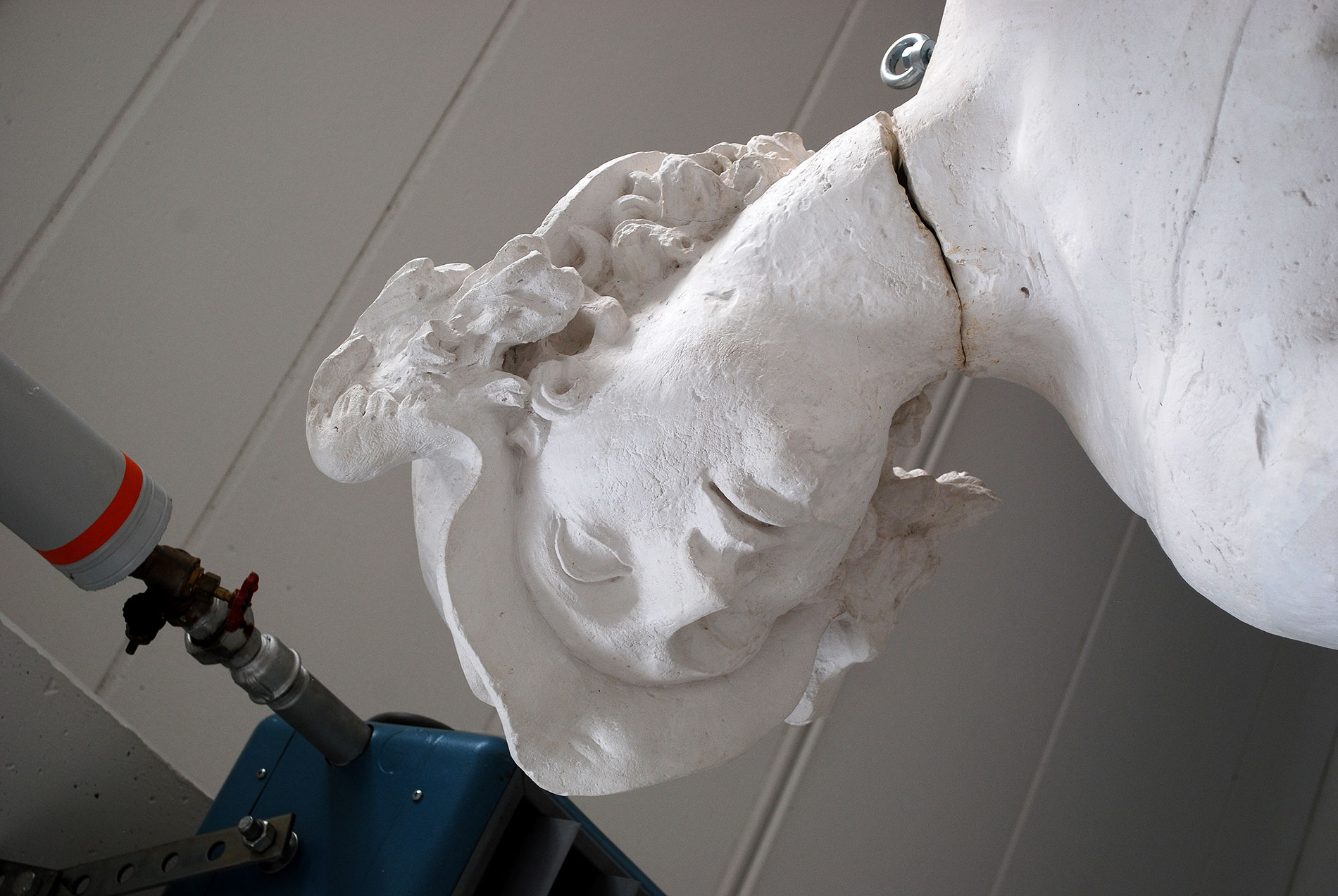 Schmerz und Schönheit